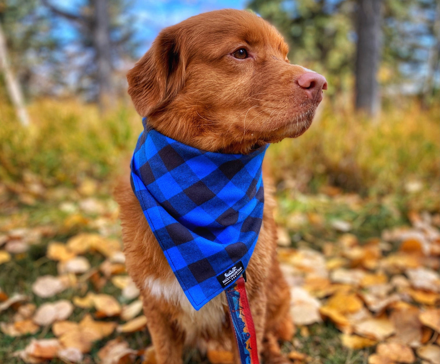 Foulard Pour Chien En Flanelle Carreauté Bleu