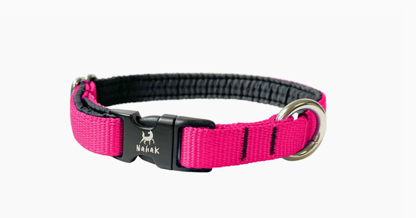 Collier pour Petits Chiens Rembourré avec Clip