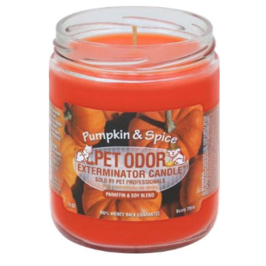 Pumpkin & Spice - Chandelle Pet Odor Exterminator